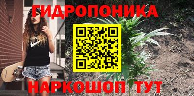 гашик Донецк