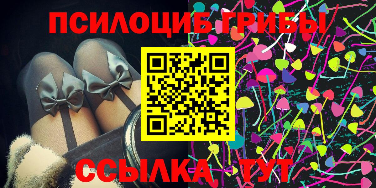 Псилоцибиновые грибы Cubensis  Вход с VPN  Можайск 