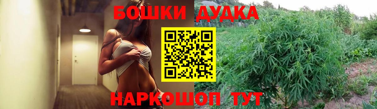Шишки марихуана Amnesia Можайск